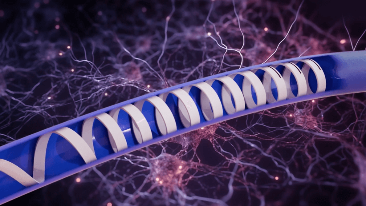 evstim neuromodulation