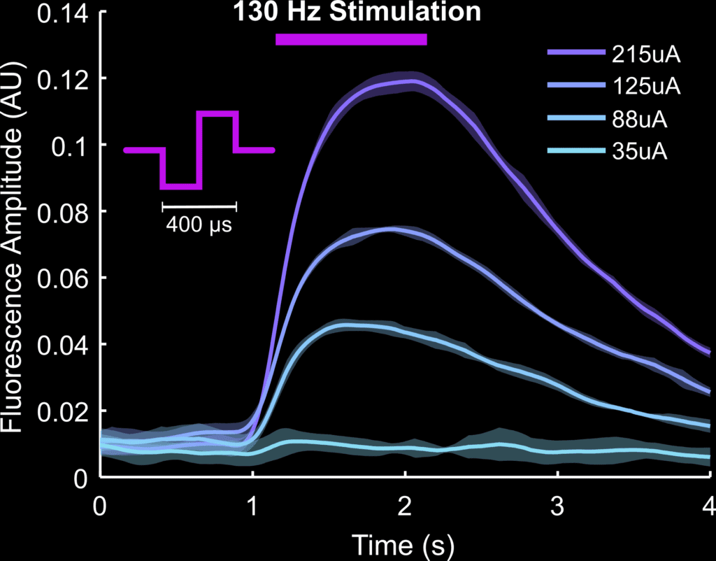 evstim plus fiber photometry data