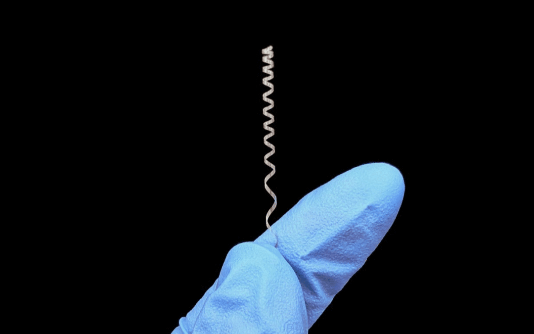 NeuroBionics Announces Oversubscribed $10M Seed Round with Second Close Led by Future Ventures