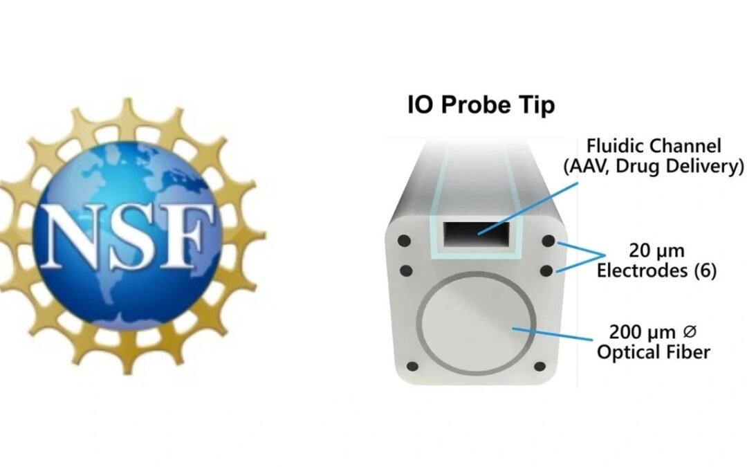 NeuroBionics Awarded NSF Phase II SBIR Grant to Advance IO Fiber Platform