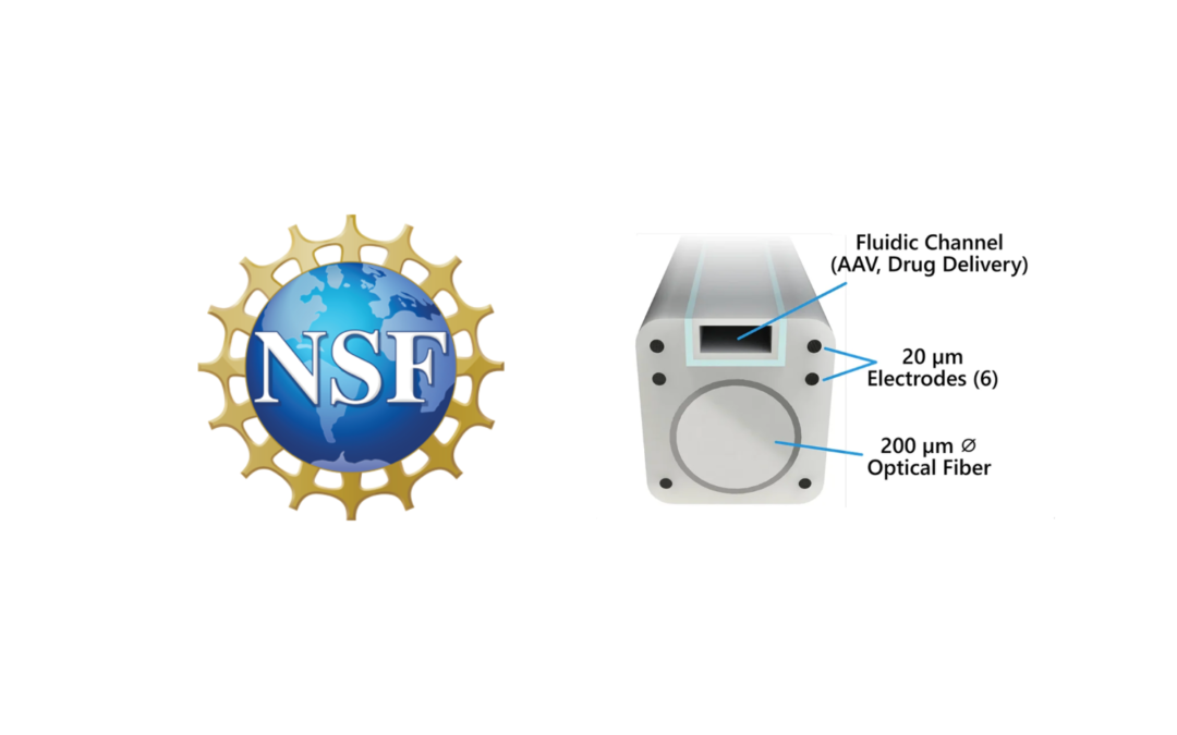 NeuroBionics Awarded NSF Phase II SBIR Grant to Advance IO Fiber Platform