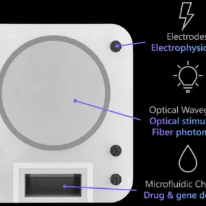 IO Fiber